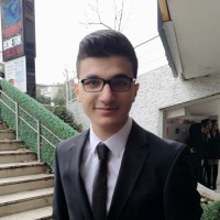 Mehmet Furkan Sarı