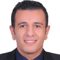 Mina Raafat Gerges