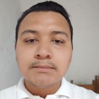 Luis Antonio Najera Flores