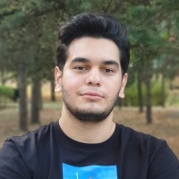 Ali Kemal Dikmeçli