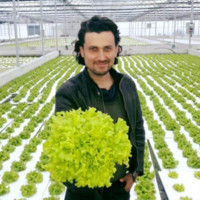 Hakan Çiçek