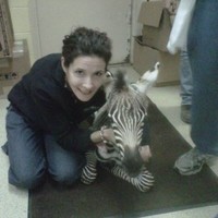 Kim Walker