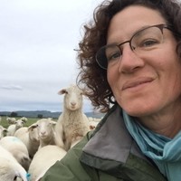 Christine Hantelman