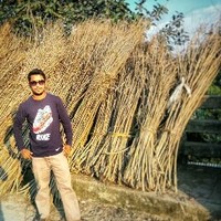 Mehedi Hasan Noman