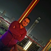 Ayman A. Hassan
