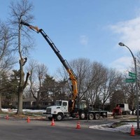 Dave Leonard Tree Specialists