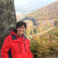 Vecseriné Bozó Judit