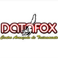 Datafox Cursos