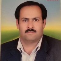 majid akbari
