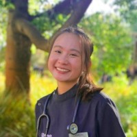 Lauren Ho