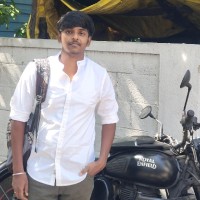 Parthasarathi N
