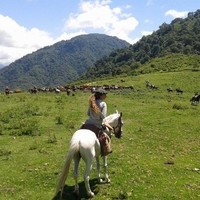 Matilde Chaile Ferro