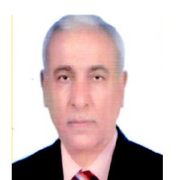 Hadi Al-Ameri