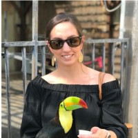 Stephanie Terranova