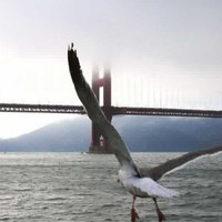 敖小敏