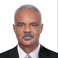 Ayman Elawad