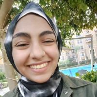 Haneen Seddik