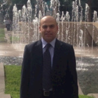 Tamer Kamal-SCM - MIS - SME Procurement and Contacts Expert. Consultant