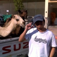 Rommel S.