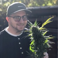 Josh León