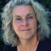 Sofie De Lint