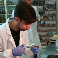 Matteo Sansalone