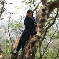 Nguyen Hoi