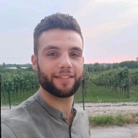 Luca Albertini