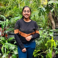 Apoorva Antin
