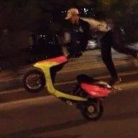 陈黎新