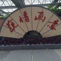 张志宁