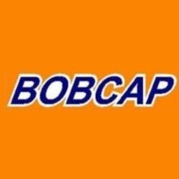 Bobcap Lda