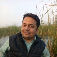 Abhishek Jha