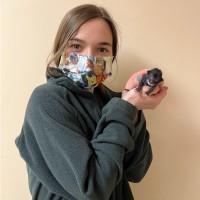 Grace Jacobini, Lvt