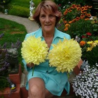 diane block