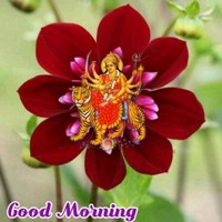 Bharathi Manoj Kumar