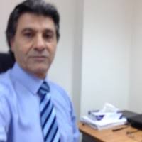 Nazih Seoudy