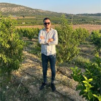 Metehan Teneke
