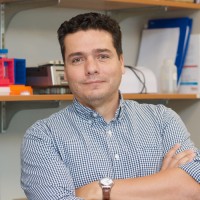 Fernando Ontiveros