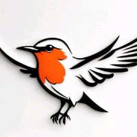 Robin Bird