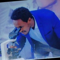 Zelalem T Mekonen