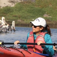 Vicky Brasher