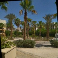 طاهر جعفر خلف الله حسن