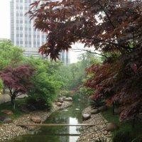 刘春桃