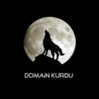 Domain Kurdu