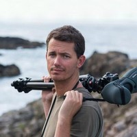 Tim Stephen