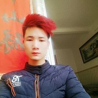 杨龙安