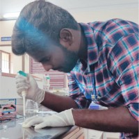 Thanga Balaji S