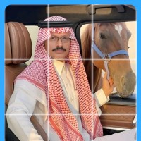 Ali Mohammad
