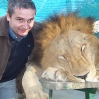 Manuel Adeodato Gondra